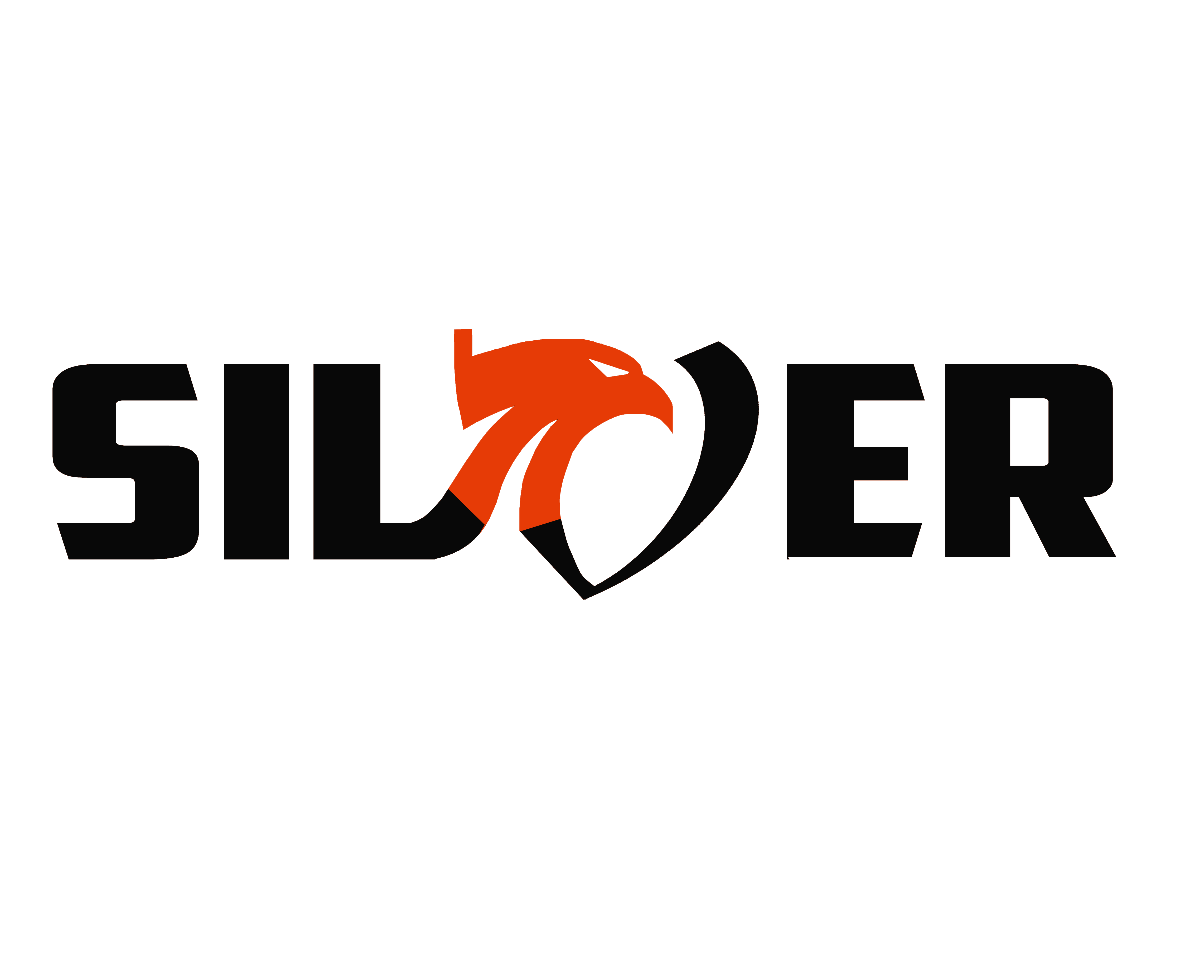 SİLVER GLOBAL copy.png